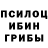 Галлюциногенные грибы Cubensis Mery K_V