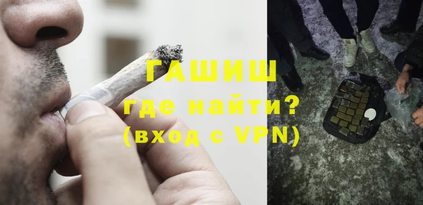 сатива Ельня