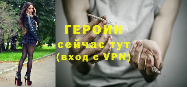 сатива Ельня