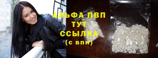 сатива Ельня