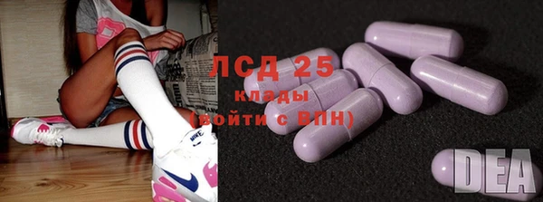 сатива Ельня