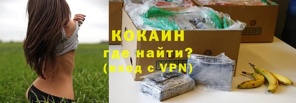 сатива Ельня