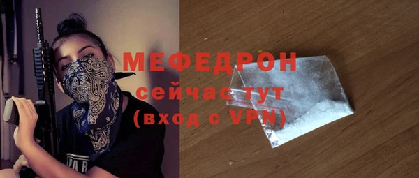 сатива Ельня