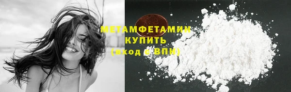 сатива Ельня