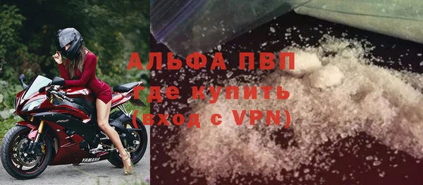 сатива Ельня
