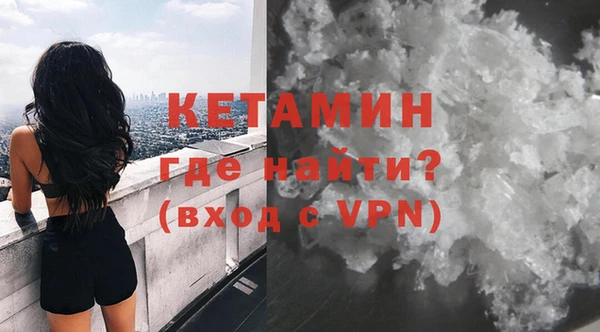 сатива Ельня