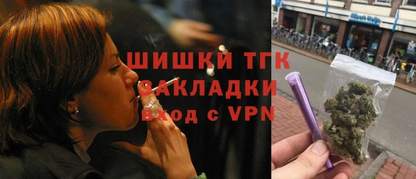 сатива Ельня