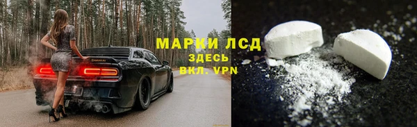 сатива Ельня
