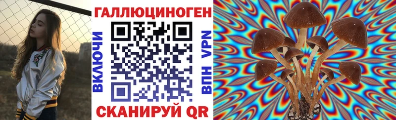 Купить закладки  Высоцк  Псилоцибиновые грибы прущие грибы 